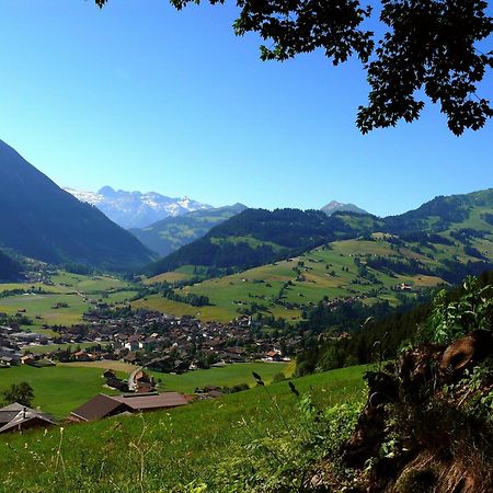 Sonnegg Hotel Zweisimmen Kültér fotó