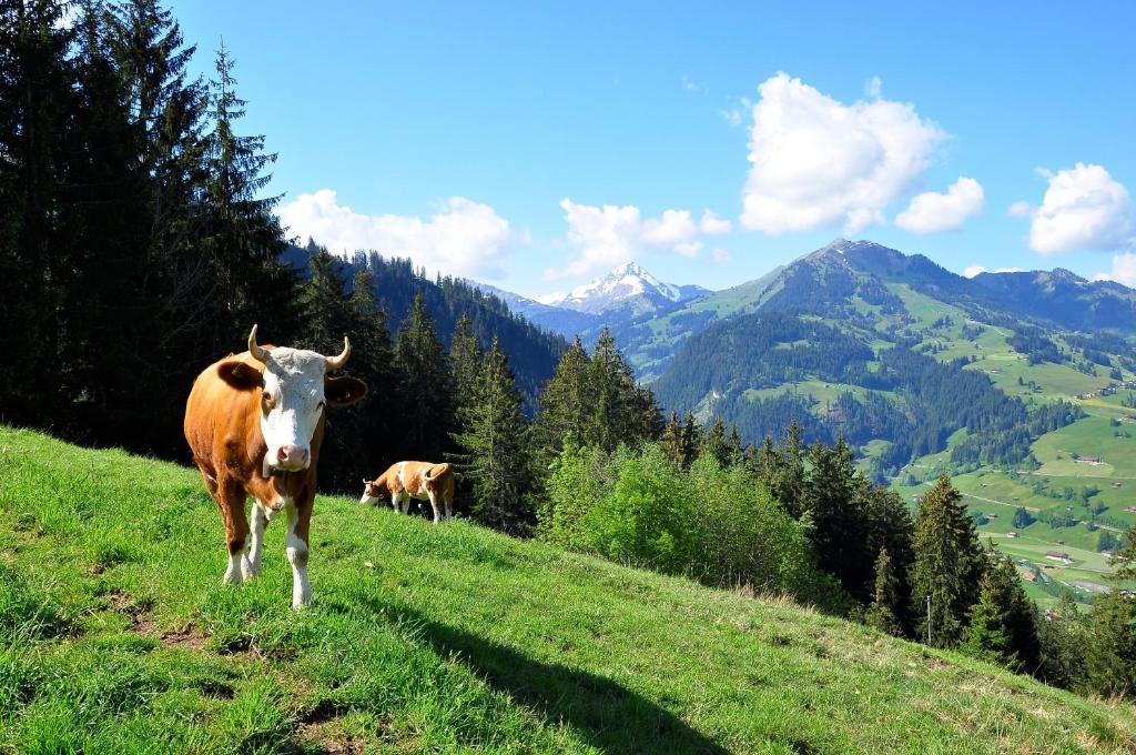 Sonnegg Hotel Zweisimmen Kültér fotó